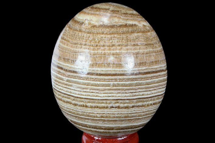 Polished, Banded Aragonite Egg - Morocco #98445
